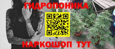 бошки Гусев