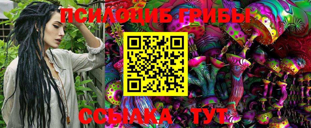Псилоцибиновые грибы MAGIC MUSHROOMS  Вход с VPN  Миасс 
